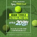 조치원체육공원(테니스장) 이미지