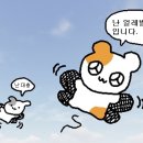 호야팡야