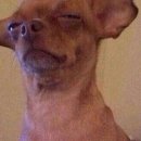 닭다방 닭갈비 이미지