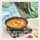 장안사산장식당 | 기장 장안사 물놀이 부산 계곡 있는 식당 장안사산장 오리고기 백숙 맛집