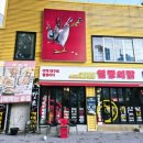 열정의 닭 이미지