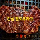 옐로우 | 안성 한우 맛집 옐로우카고 후기