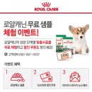 강남펫스타일 이미지