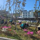 광영동주민센터 이미지