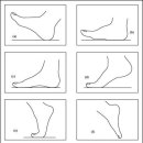 제2장 신발과 과학 - 1. 보행공학과 인체공학 - 1-1. 보행특성 이미지