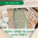 페로바니 싼타페 가죽 키커버 살비아 구매후기