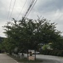 안녕;오늘풀빌라펜션 | [숙소] 제천 풀빌라 펜션 숙박 후기 : 디투어스 캠프클럽 제천