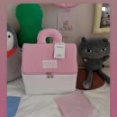 그루미네 | [후기] 피치프라이빗 그루미 파우치(groomie pouch)