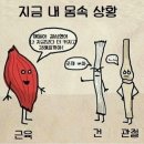 피트인 피트니스 이미지