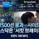 [🔴속보] 코스피 2500선 붕괴, 사이드카 발동/코스닥은 '서킷브레이커'…"미국발 경기 침체 위기감" 이미지