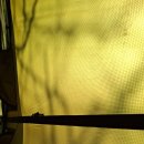 시화로1L | 진북편백골 오토캠핑장 개울6 사이트 후기