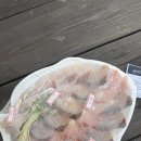 [여수엑스포역맛집] 여수선어회 전문점으로 여수현지인맛집 짱조아마차 포장 후기