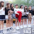 지엔피오
