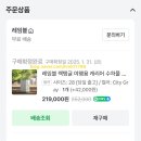 렉탱글 캐리어 찐찐사용후기 타사캐리어 사이즈 비교