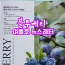 성수문량길 이미지