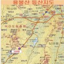 용봉농장 Daum카페