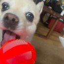 한주동물병원 이미지