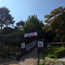 이승만 동상 | [거제 여행] 어른이들의 모노레일 &amp; 포로수용소 방문 후기
