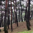 함양농업협동조합 | 함양
