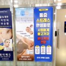 델라도테라 이미지