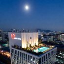 (주)호텔롯데 L7홍대 | 홍대 힙하고 편리한 숙소, L7 홍대 바이 롯데호텔 1박 솔직 후기✨