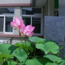 낙서면사무소 이미지