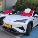 [BYD 씨라이언 7] 서울 개인택시 전기차! 2대 동시 출고(F, BYD서초지점)