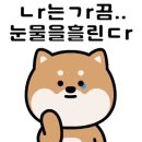 큰댕이네 이미지