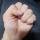 정우관 Daum카페