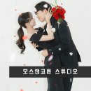 인물중심 스튜디오 모스앤코튼 에서 웨딩촬영했어요