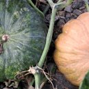 천보수산 이미지