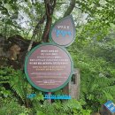 알림]2025년 11월2일(일)디딤산악회 467회차 강원도 평창 발왕산 당일산행안내문 이미지