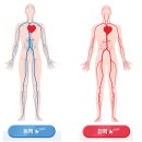 대원온누리약국 네이버블로그