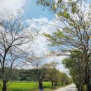 두암농장 이미지