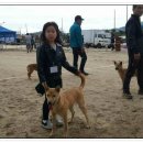 경북영주 풍기인삼축제 이미지