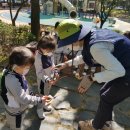 리틀올리브어린이집 이미지