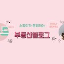 골드부동산중개사무소 이미지