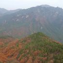 남산 - 영암군 | 남산