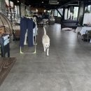 실라마실1 이미지