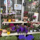 구성꽃백화점 이미지