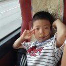 용인대 수 합기도 이미지