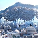 조선대학교 이미지