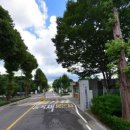 서남물파크골프장 | [힐링 스팟] 서남물재생센터 파크골프장 이용 꿀팁