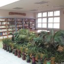 보람중학교 이미지