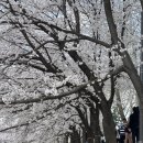 양재시민의숲 역 1번 출구 이미지