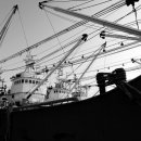 만선을 위한 기원 이미지