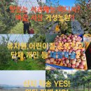 거성농원