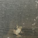 여주-1066 | 경기도 여주 냉면 맛집 『아도니스 여주점』