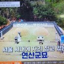 벌거벗은한국사 연산군은 왜 미치광이가 되었나 5, 요약정리1 이미지
