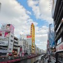 하나프라자 | 도톤보리 도톤프라자 간사이공항 리무진 첫차 후기